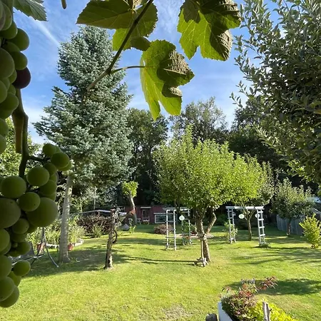 Spreewald Haus Boche Casa vacanze