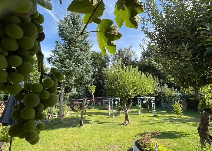 Spreewald Haus Boche Semesterbostad