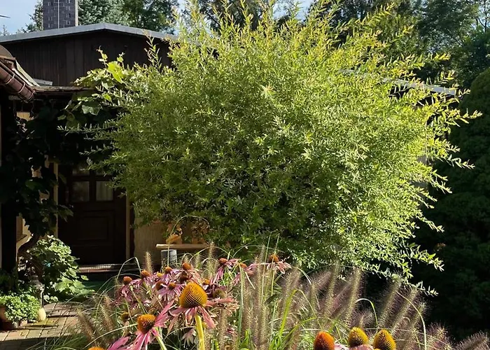 Spreewald Haus Boche Semesterbostad