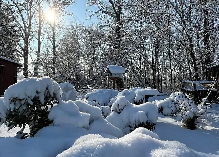 Spreewald Haus Boche *